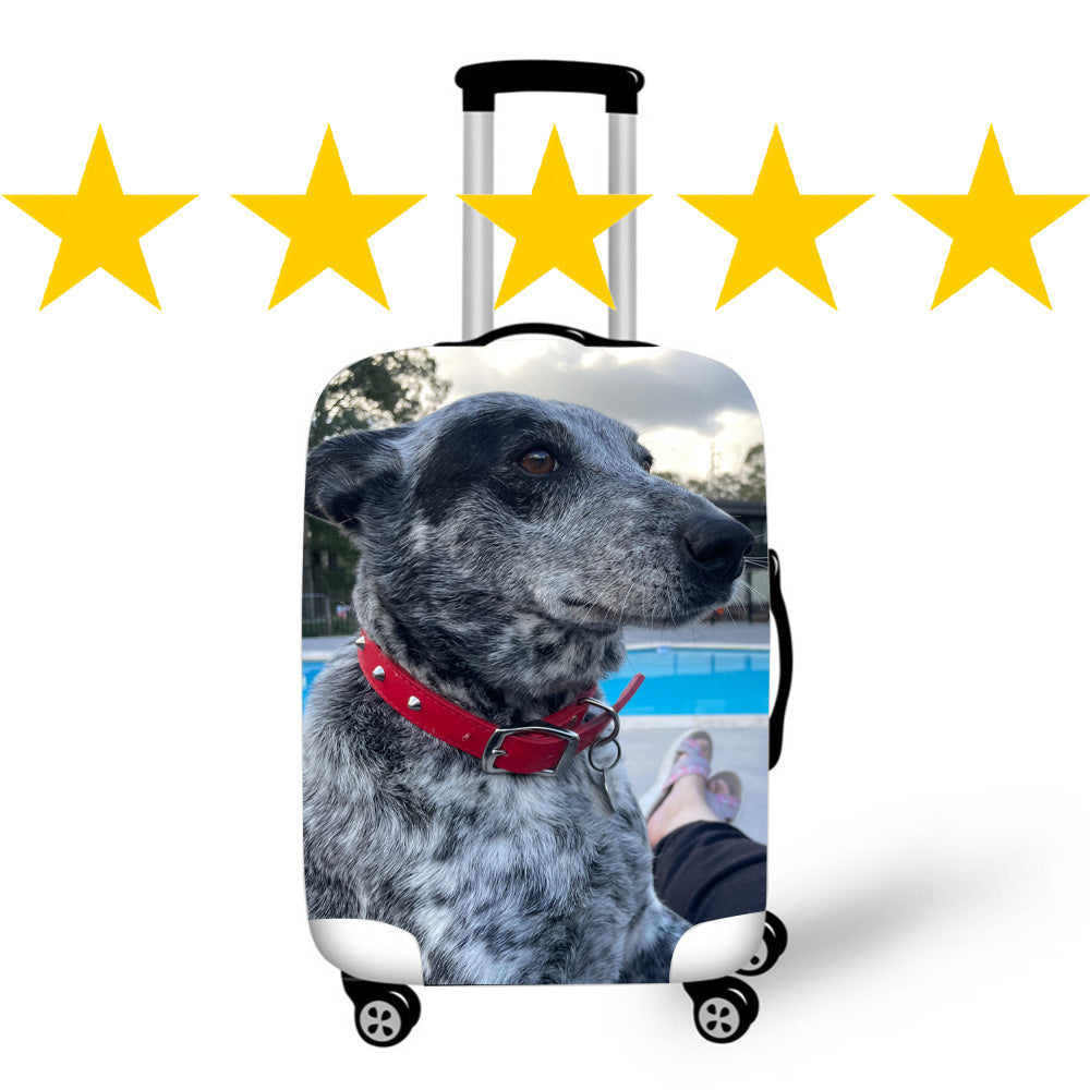 Custom Suitcase / Baggage Covers